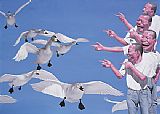 Yue Minjun Famous Paintings - Big Swans